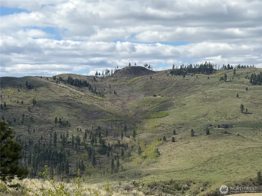 0 Lot 4 Aspen Springs Tonasket, WA 98855