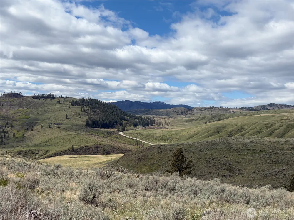0 Lot 4 Aspen Springs Tonasket, WA 98855