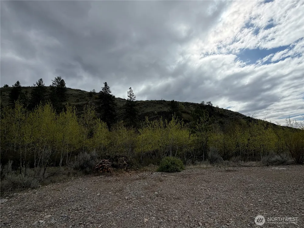 0 Lot 4 Aspen Springs Tonasket, WA 98855