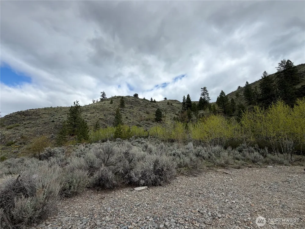 0 Lot 4 Aspen Springs Tonasket, WA 98855