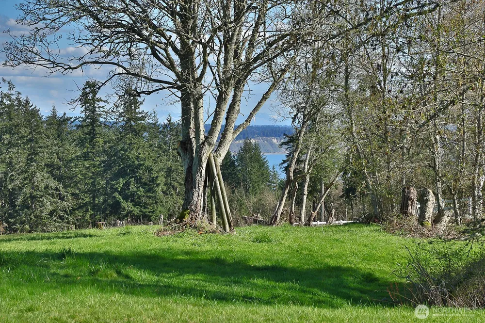 0 Panorama Drive Freeland, WA 98249