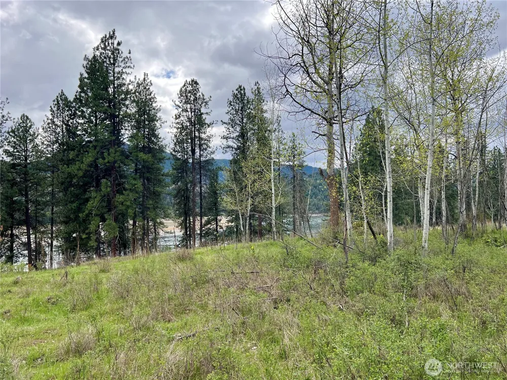 4239 A Northport Flat Creek Road Northport, WA 99157