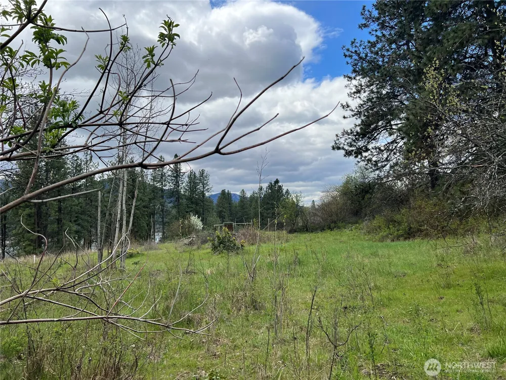 4239 A Northport Flat Creek Road Northport, WA 99157