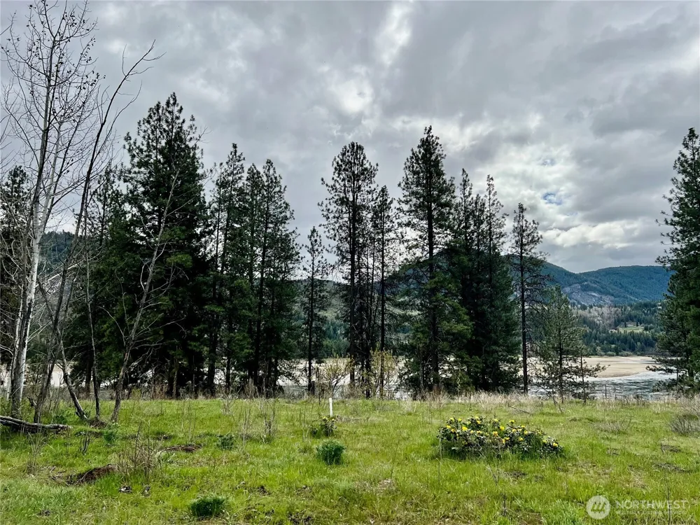 4239 A Northport Flat Creek Road Northport, WA 99157