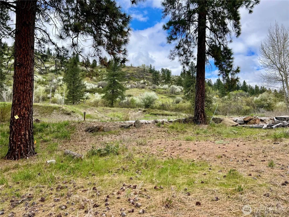 4239 A Northport Flat Creek Road Northport, WA 99157