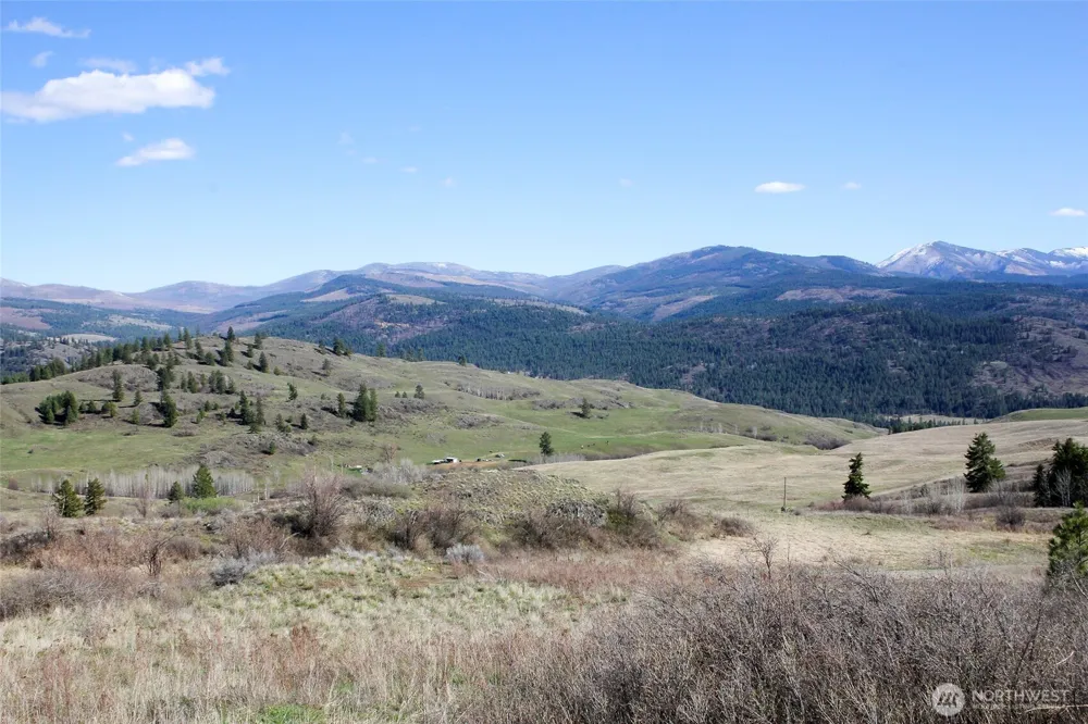 299 Vulcan Mountain Road Curlew, WA 99118