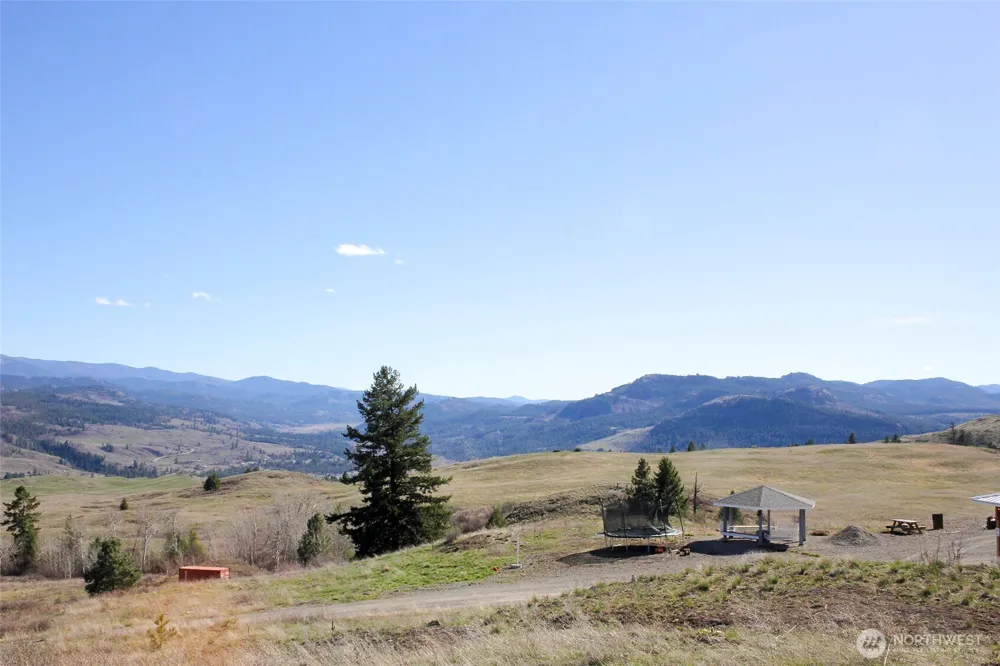 299 Vulcan Mountain Road Curlew, WA 99118