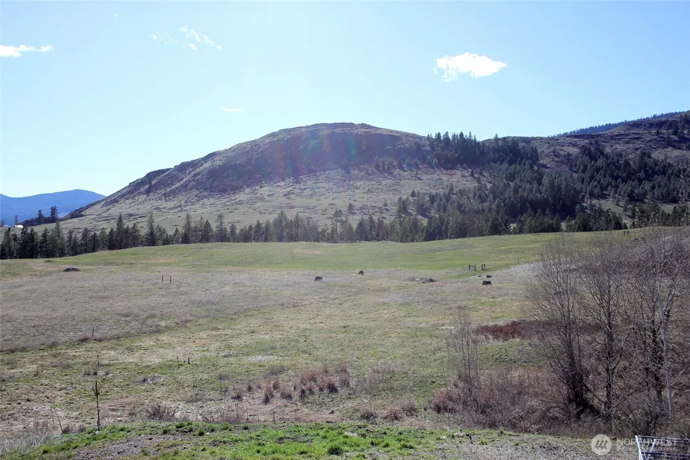 299 Vulcan Mountain Road Curlew, WA 99118