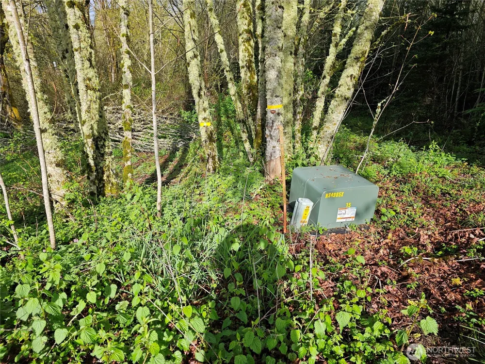 0 Birley Rd Mossyrock, WA 98564