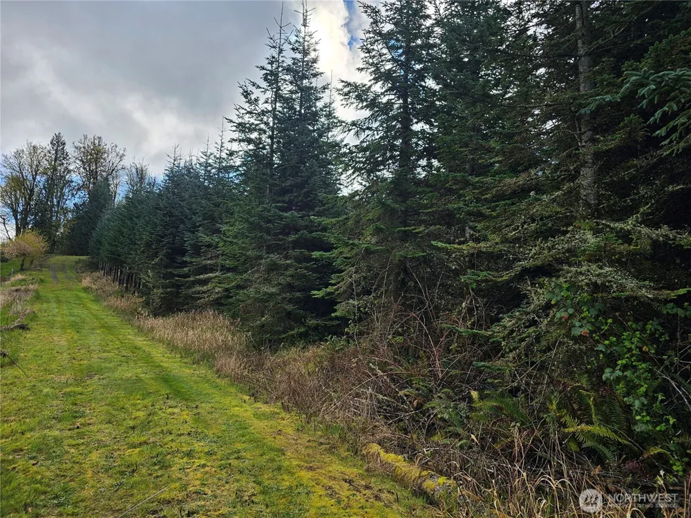 0 Birley Rd Mossyrock, WA 98564
