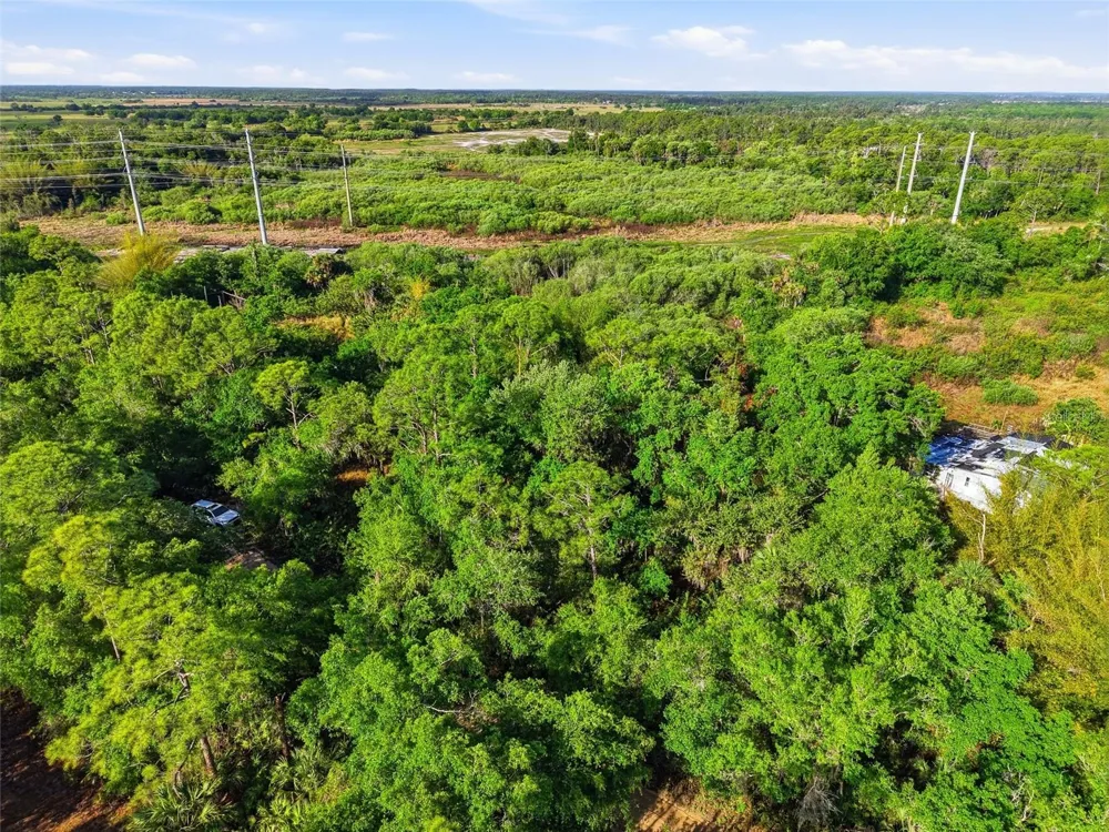 22811 WILLIAMS DRIVE North Fort Myers, FL 33917