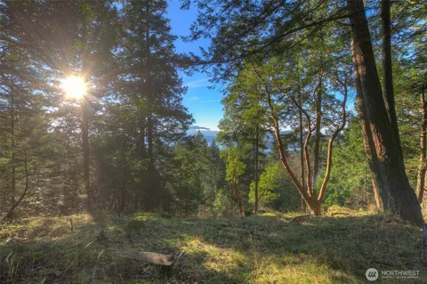 558 Buck Mt. Road