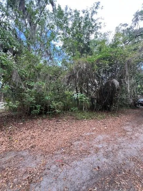 120 NW 9TH STREET Gainesville, FL 32601