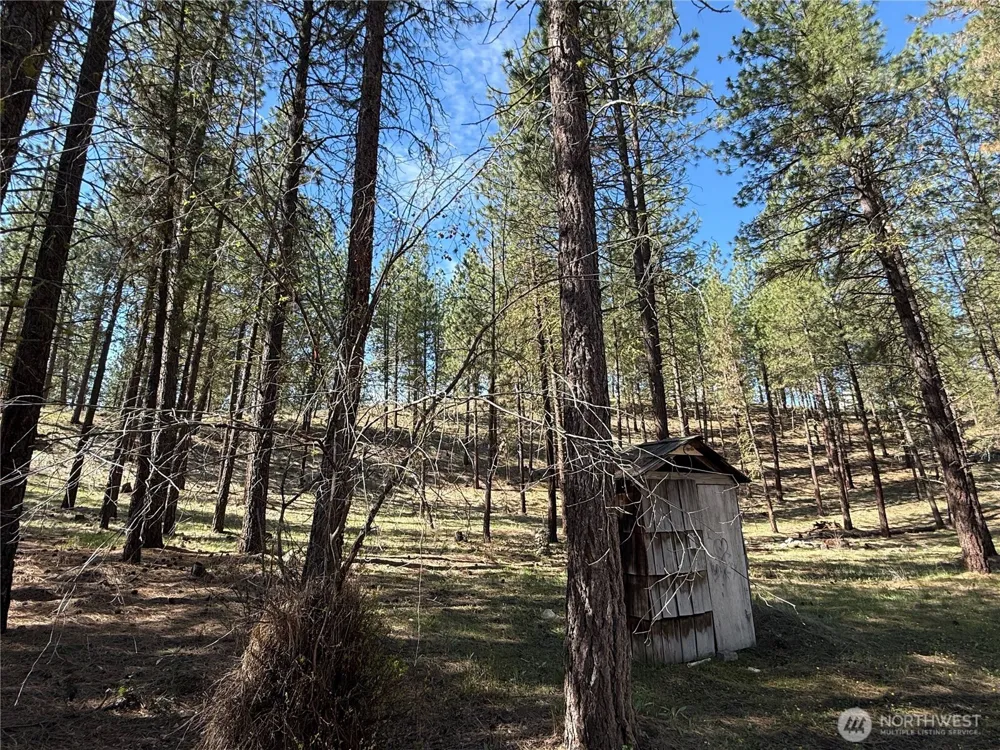 87 Larkspur Drive Winthrop, WA 98862