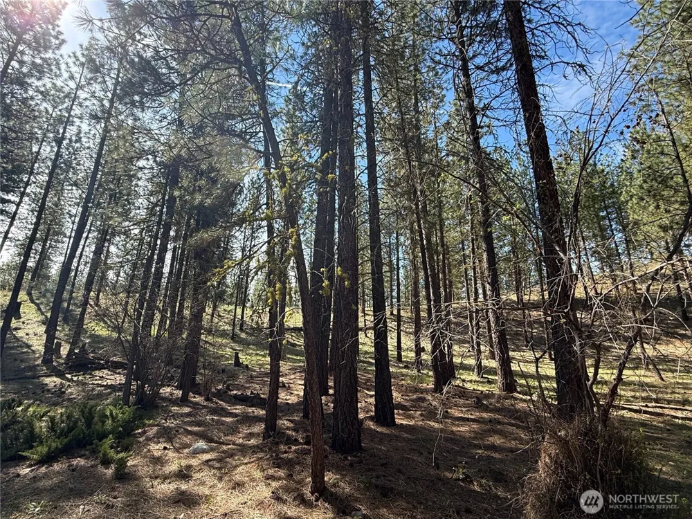 87 Larkspur Drive Winthrop, WA 98862