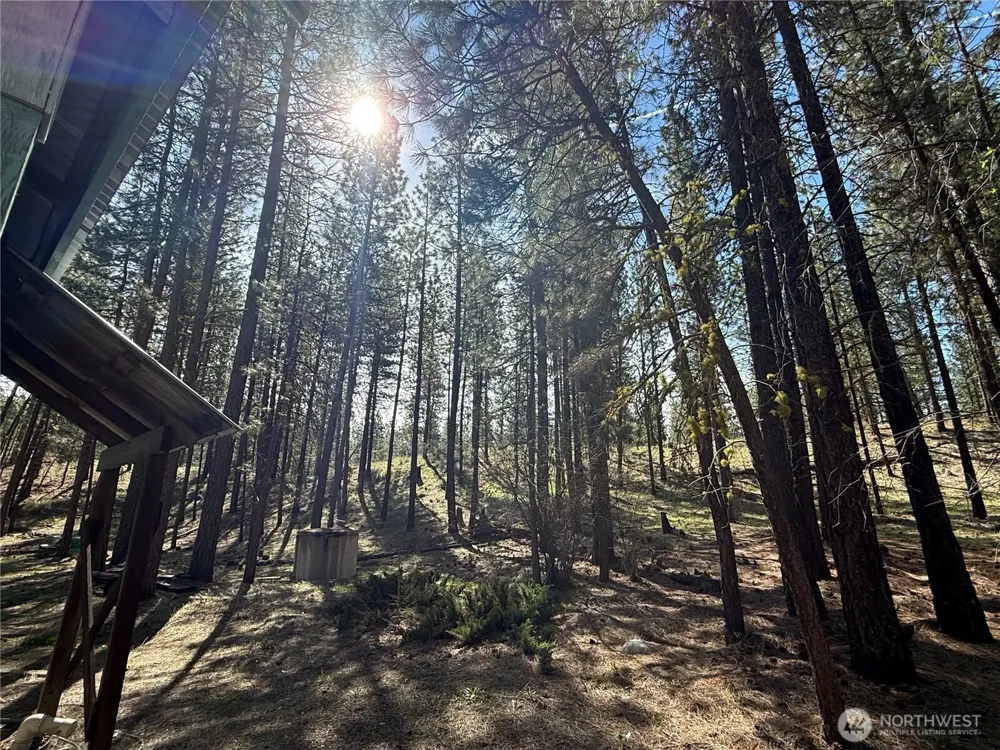 87 Larkspur Drive Winthrop, WA 98862