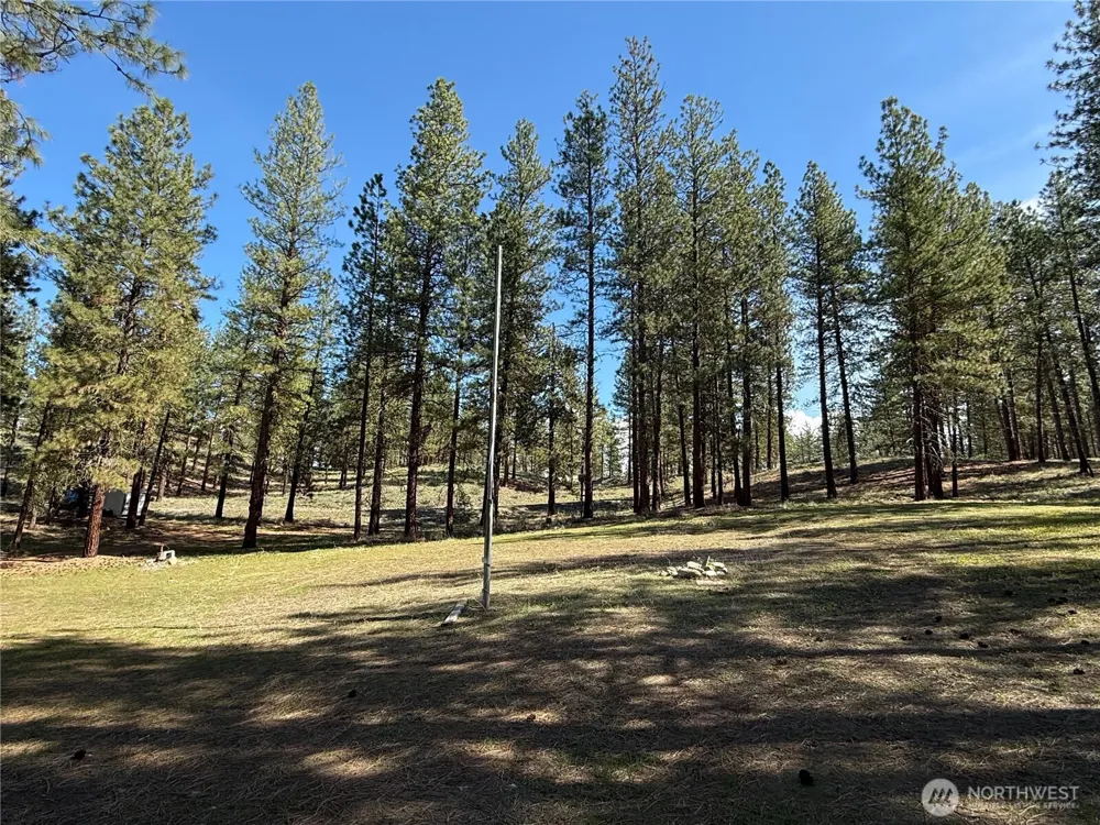 87 Larkspur Drive Winthrop, WA 98862
