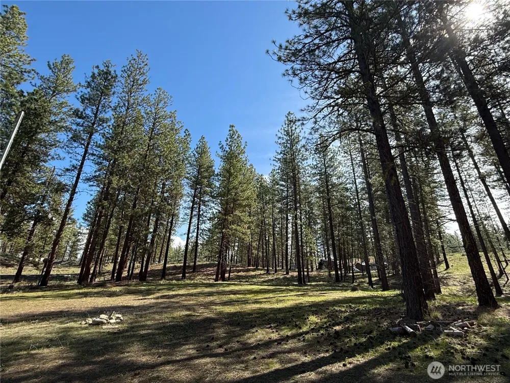 87 Larkspur Drive Winthrop, WA 98862