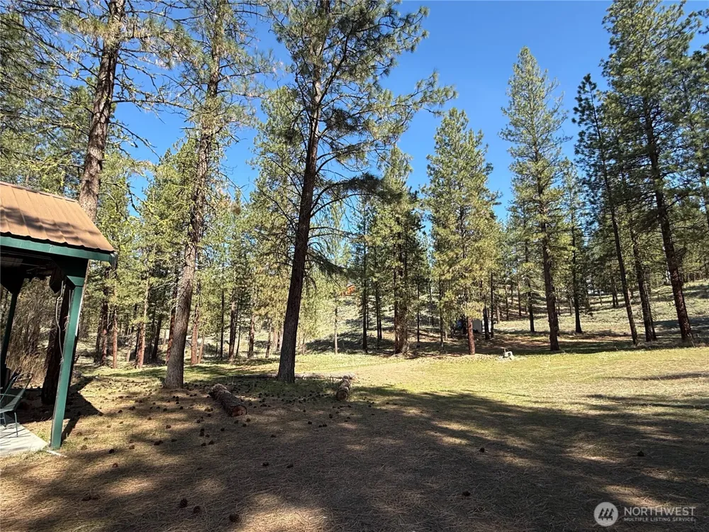 87 Larkspur Drive Winthrop, WA 98862