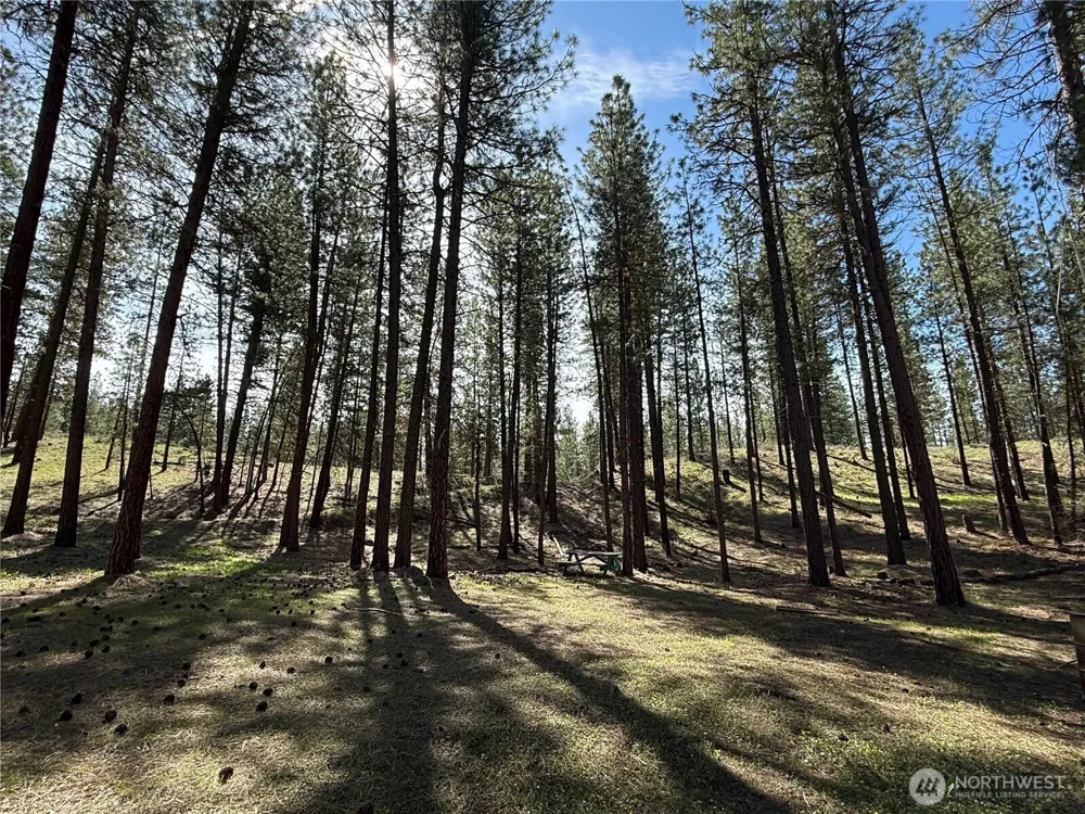 87 Larkspur Drive Winthrop, WA 98862