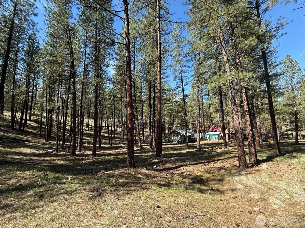 87 Larkspur Drive Winthrop, WA 98862
