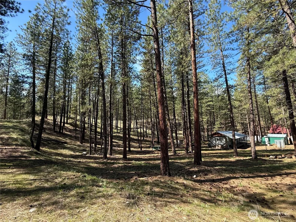 87 Larkspur Drive Winthrop, WA 98862