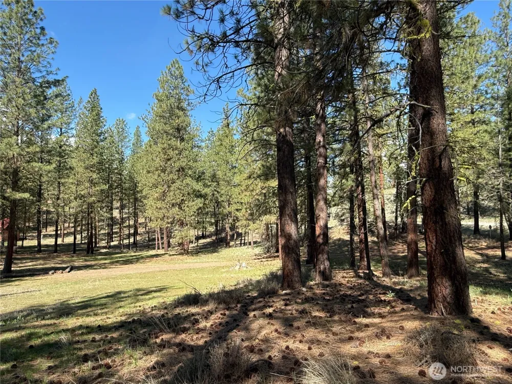 87 Larkspur Drive Winthrop, WA 98862