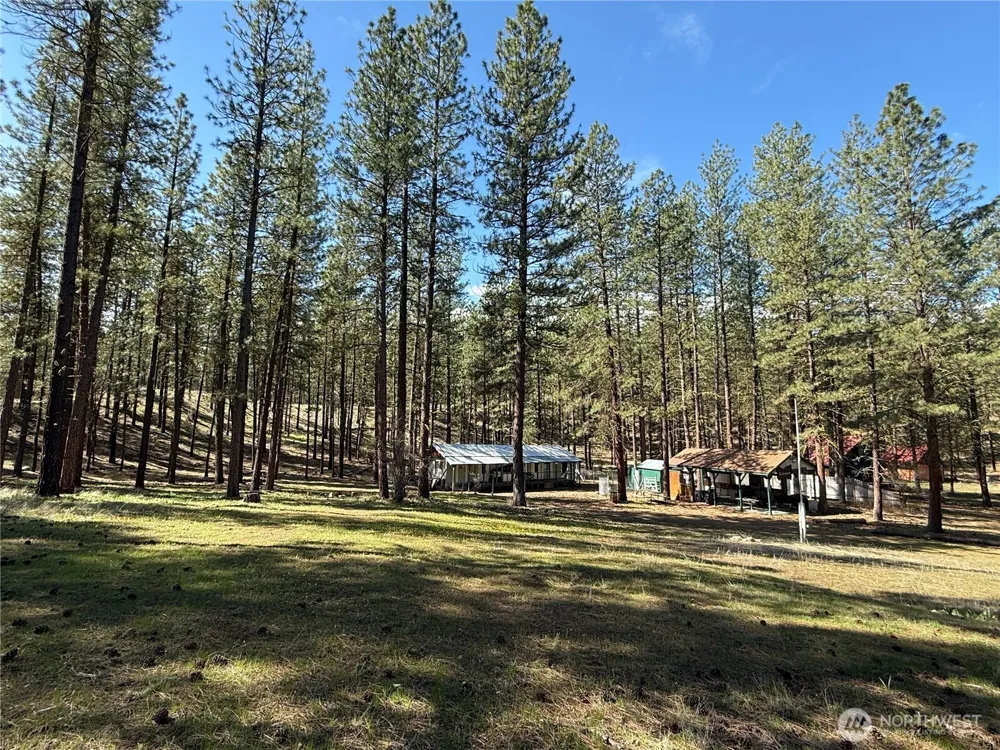 87 Larkspur Drive Winthrop, WA 98862