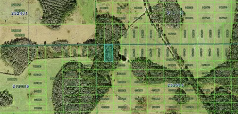POLK CITY