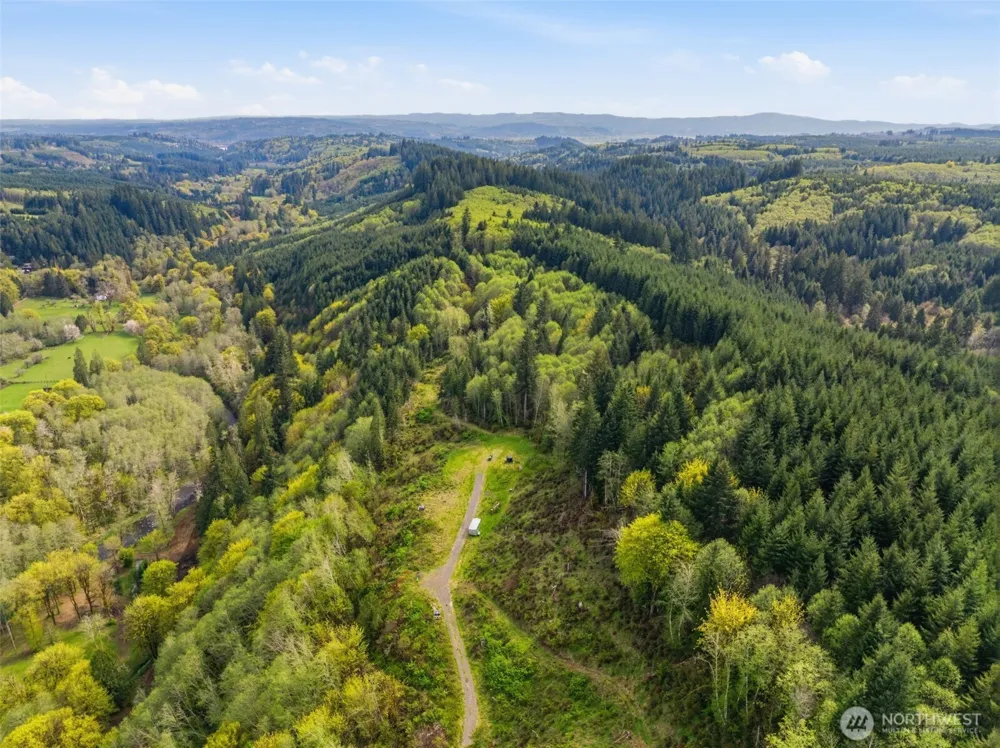 505 Apple Creek Longview, WA 98632