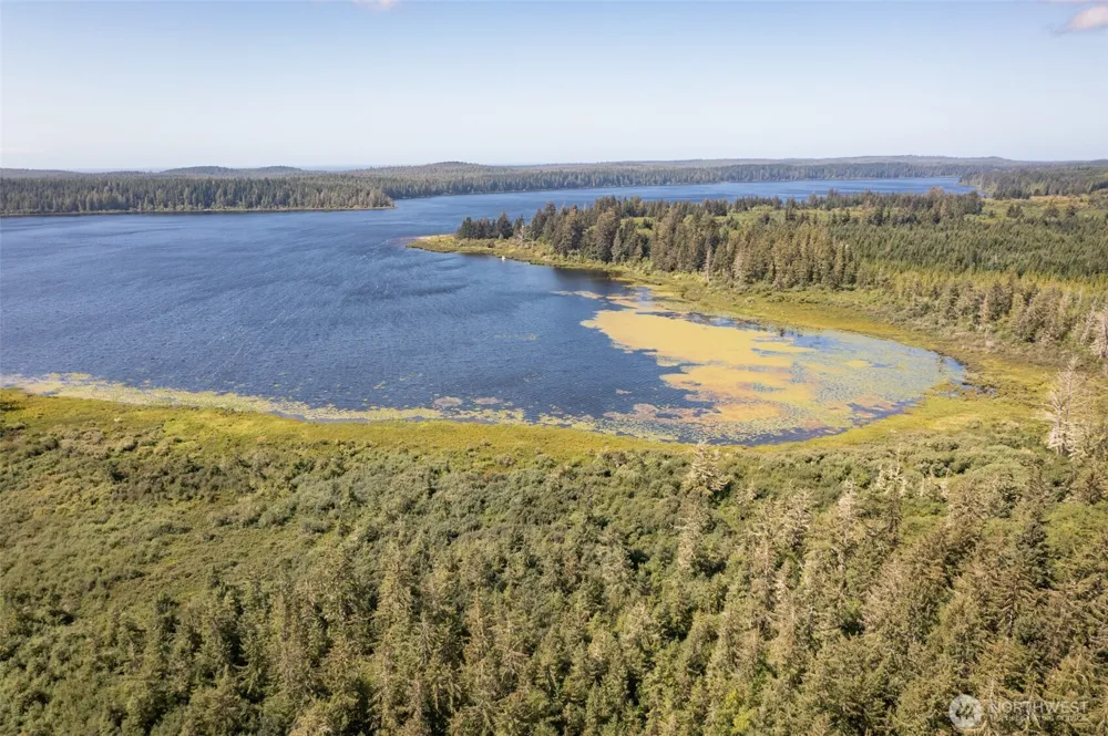 1 Swamp Road Sekiu, WA 98381