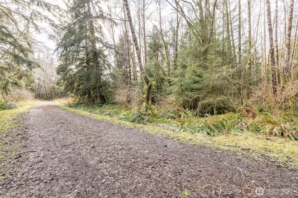 1 Swamp Road Sekiu, WA 98381