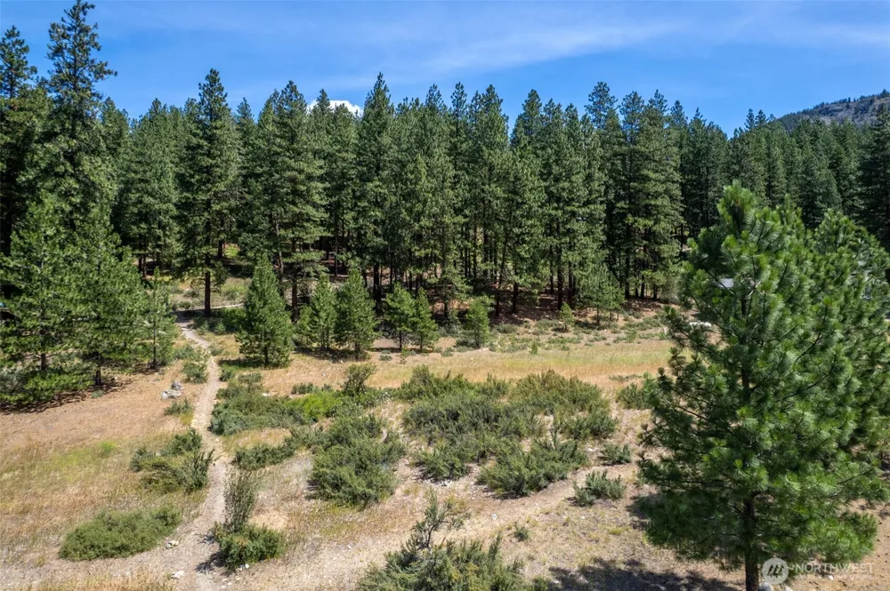58 Homestead Road Winthrop, WA 98862
