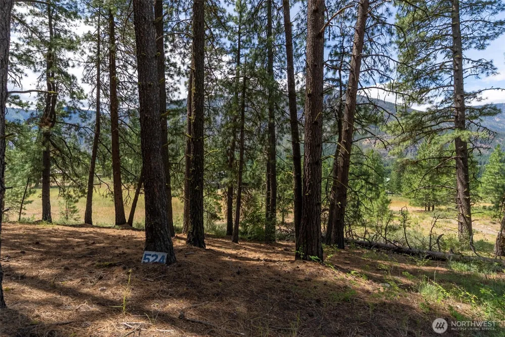 58 Homestead Road Winthrop, WA 98862