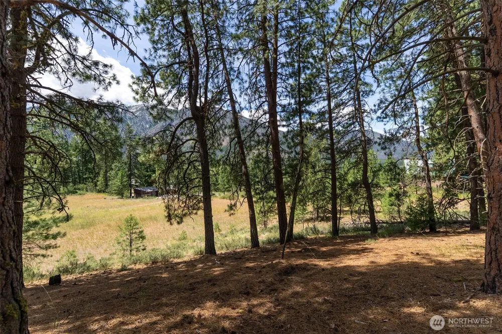 58 Homestead Road Winthrop, WA 98862