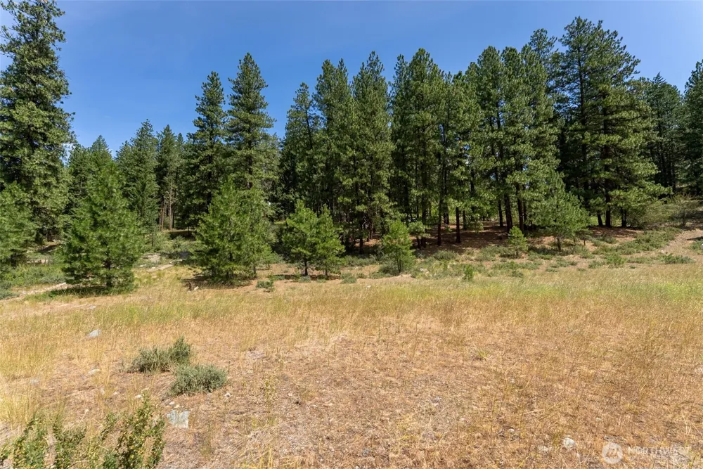 58 Homestead Road Winthrop, WA 98862
