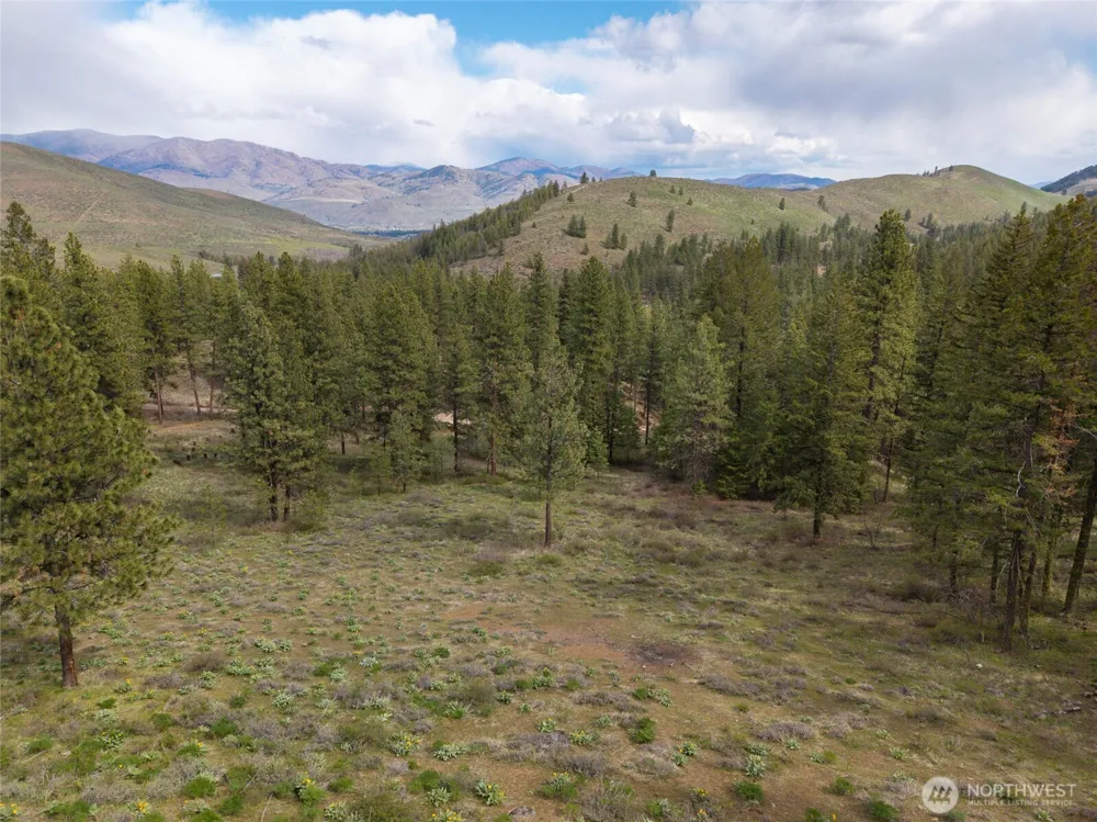 9 Whitebark Lane Winthrop, WA 98862