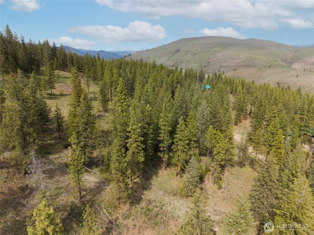 9 Whitebark Lane Winthrop, WA 98862
