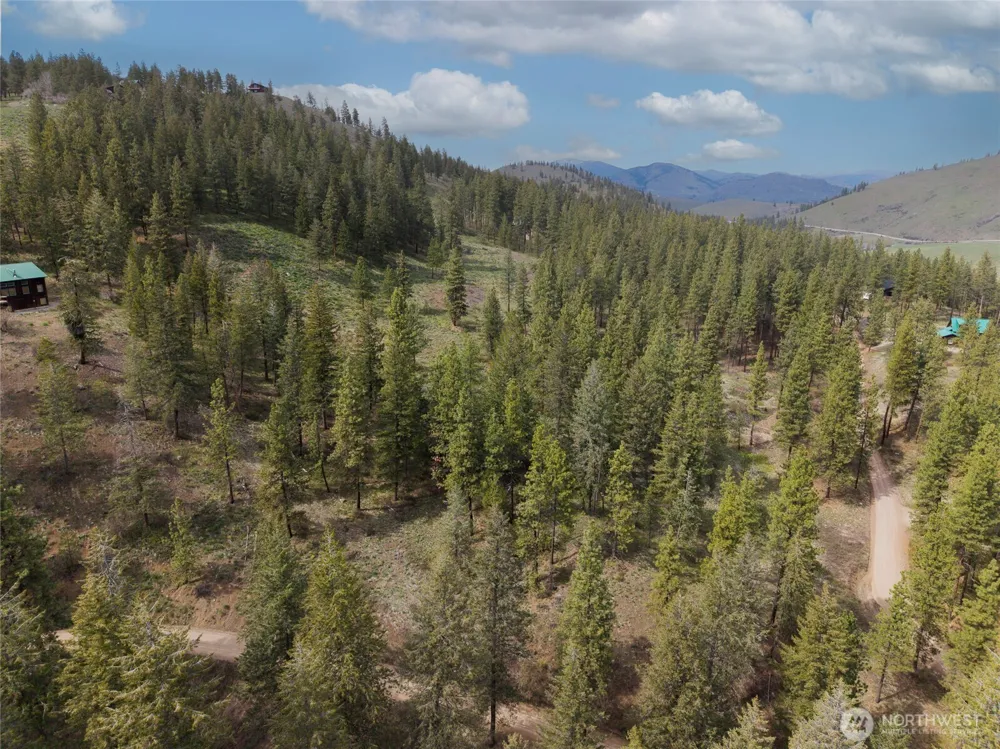 9 Whitebark Lane Winthrop, WA 98862