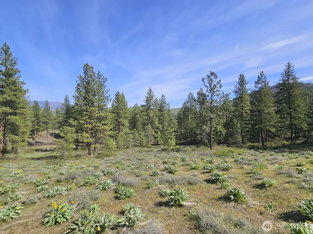 9 Whitebark Lane Winthrop, WA 98862