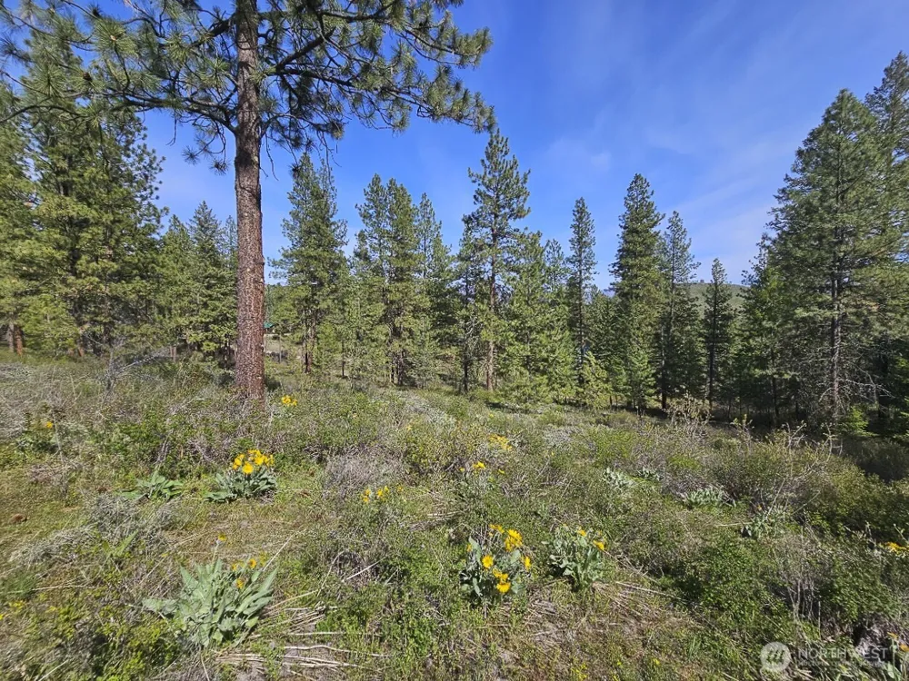 9 Whitebark Lane Winthrop, WA 98862