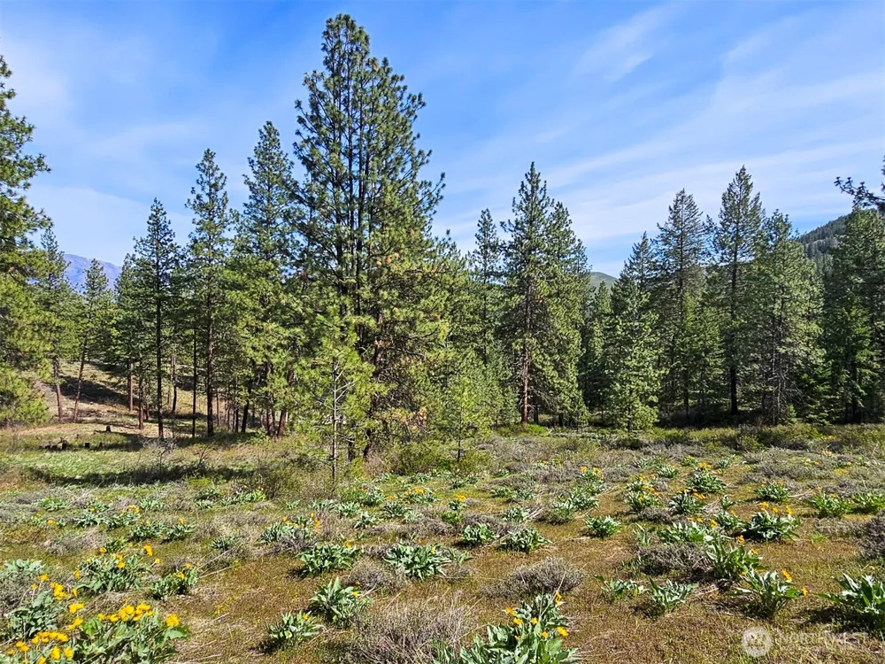9 Whitebark Lane Winthrop, WA 98862