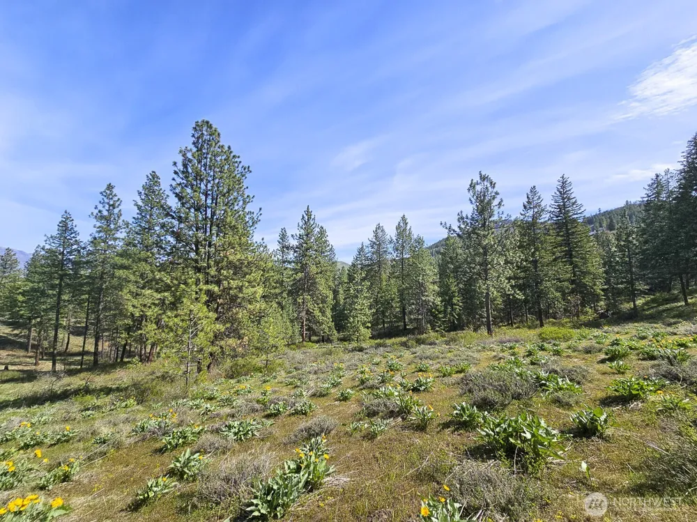 9 Whitebark Lane Winthrop, WA 98862