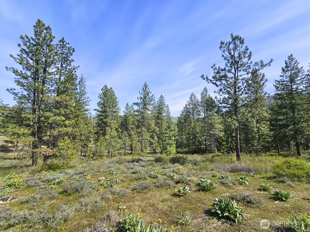 9 Whitebark Lane Winthrop, WA 98862