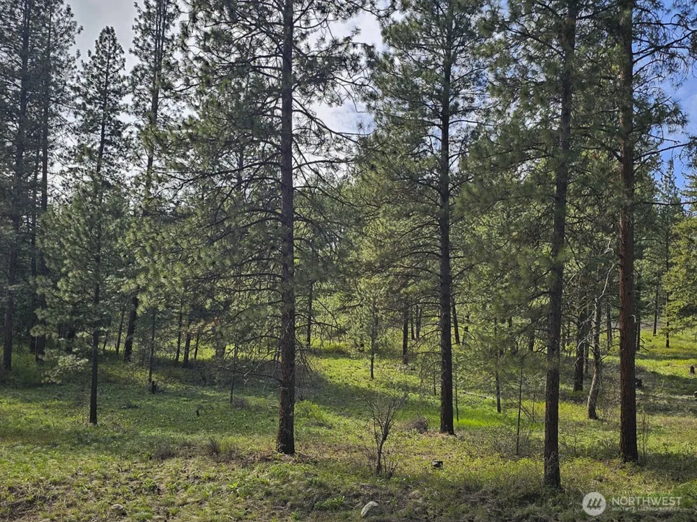 9 Whitebark Lane Winthrop, WA 98862