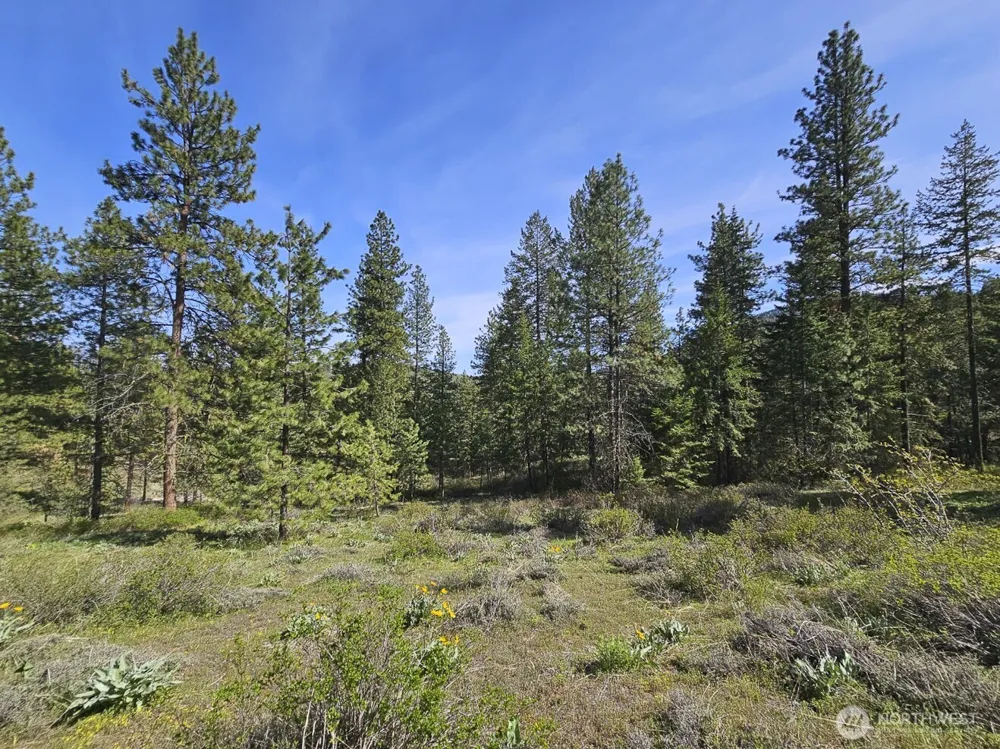 9 Whitebark Lane Winthrop, WA 98862