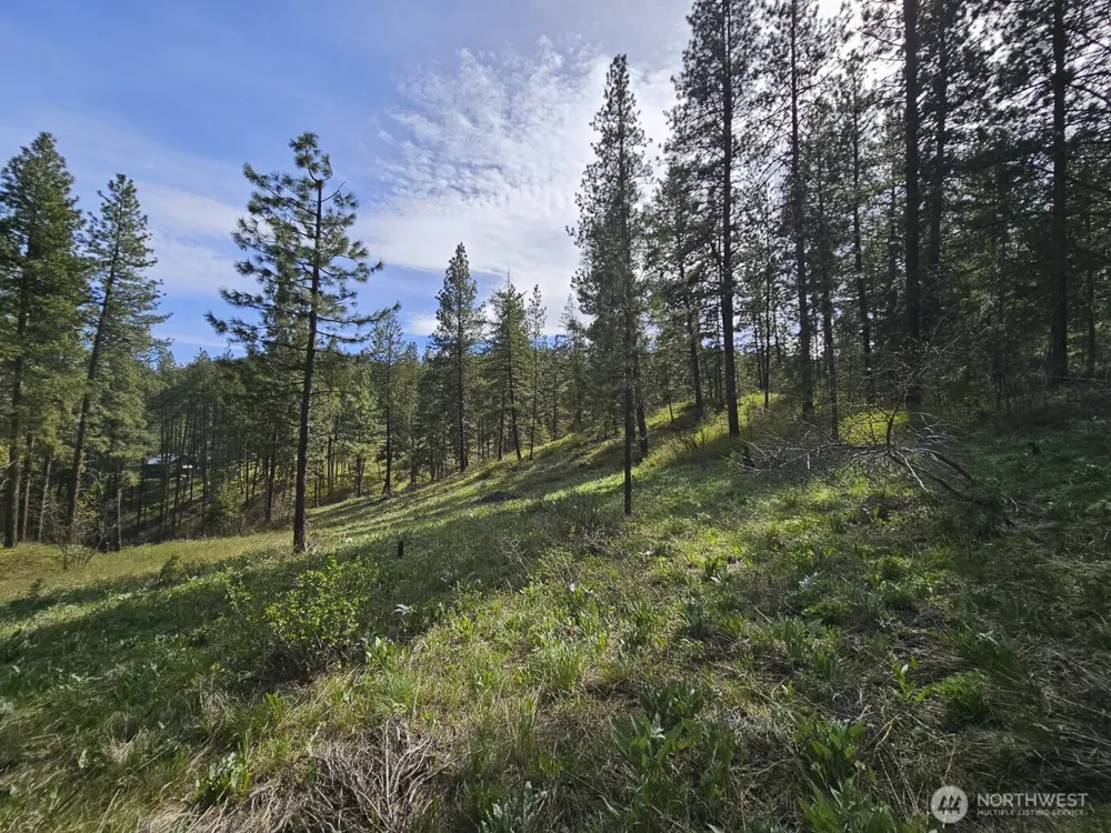 9 Whitebark Lane Winthrop, WA 98862