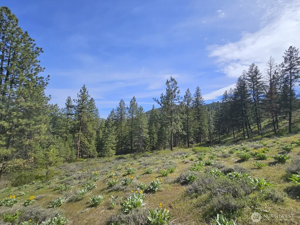 9 Whitebark Lane Winthrop, WA 98862