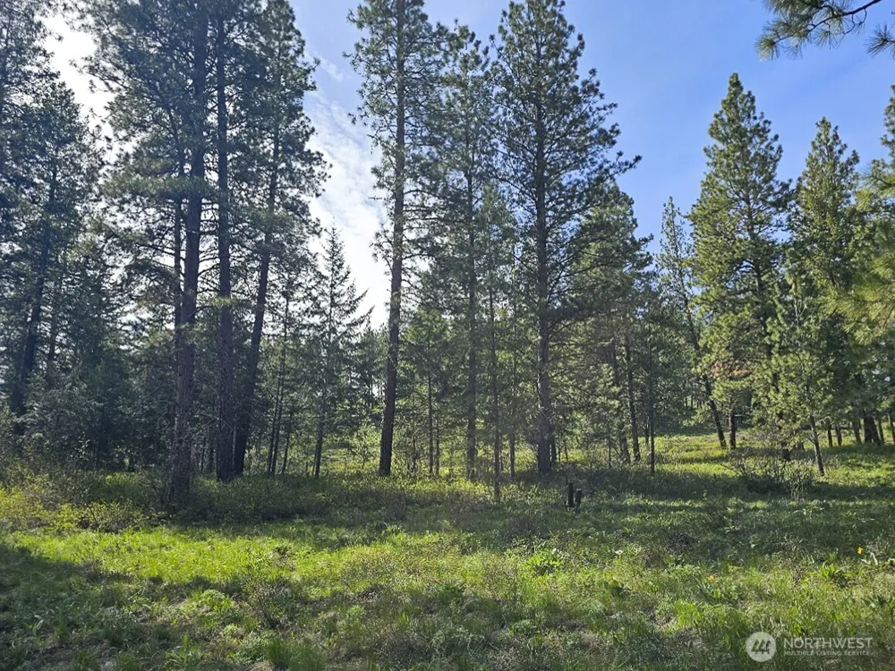 9 Whitebark Lane Winthrop, WA 98862