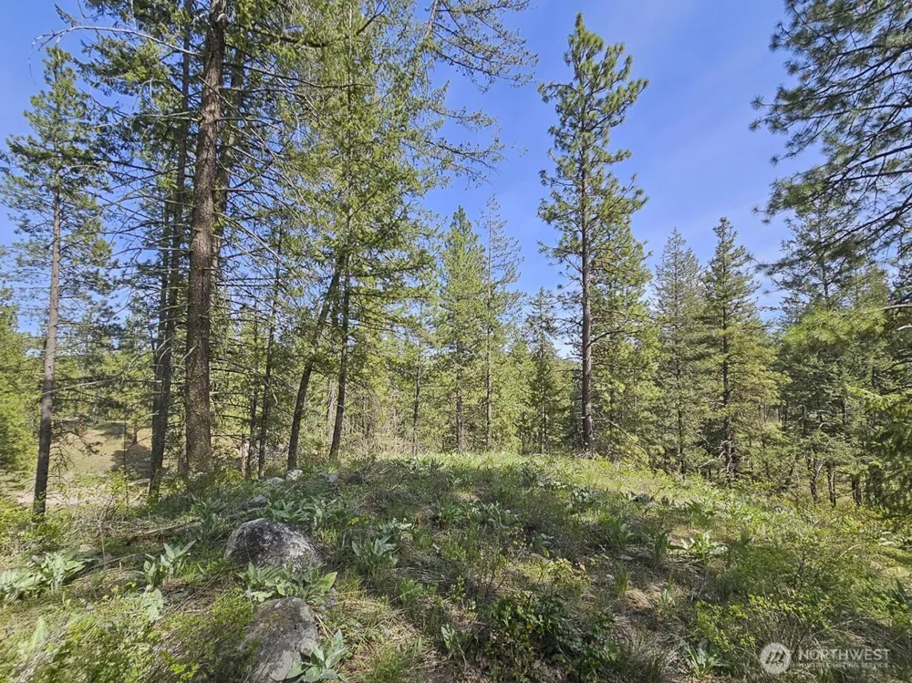 9 Whitebark Lane Winthrop, WA 98862